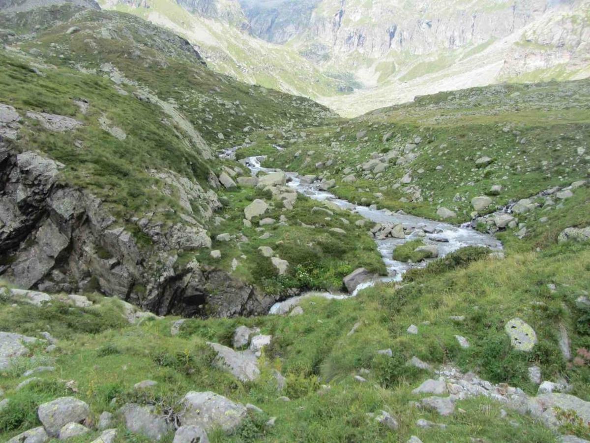 Bilocale A Due Passi Dal Gran Paradiso Locana エクステリア 写真