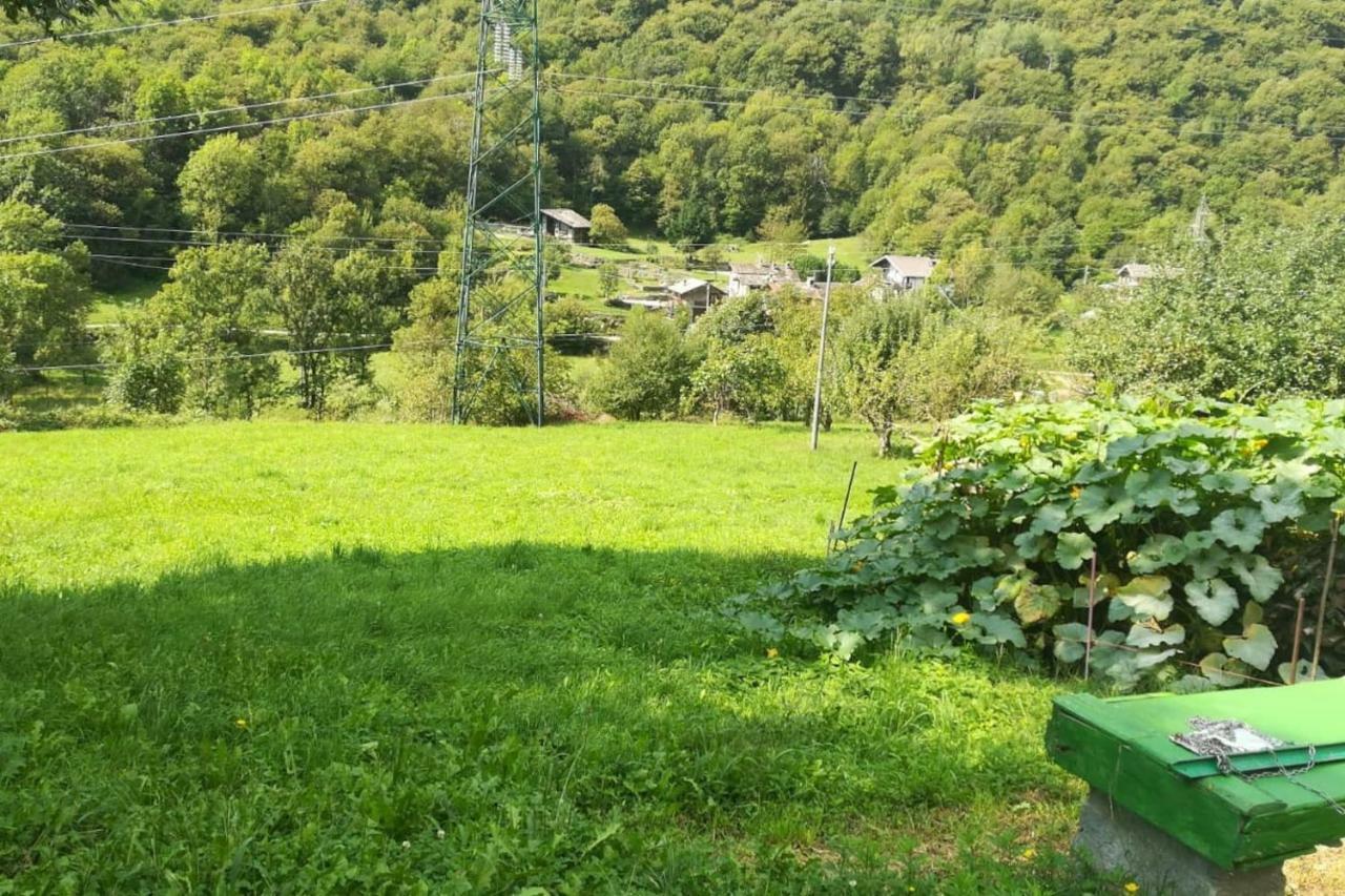 Bilocale A Due Passi Dal Gran Paradiso Locana エクステリア 写真